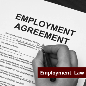 Employment  Law