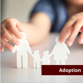 Adoption